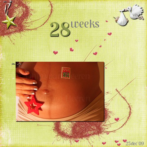 Dhin`s buik in 28 weeks